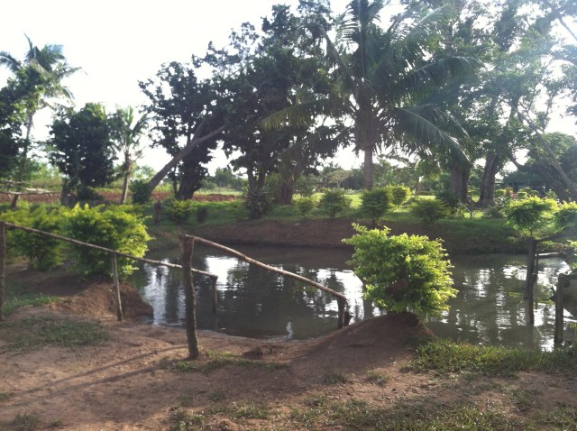 Hot springs... aka: homemade hot tub